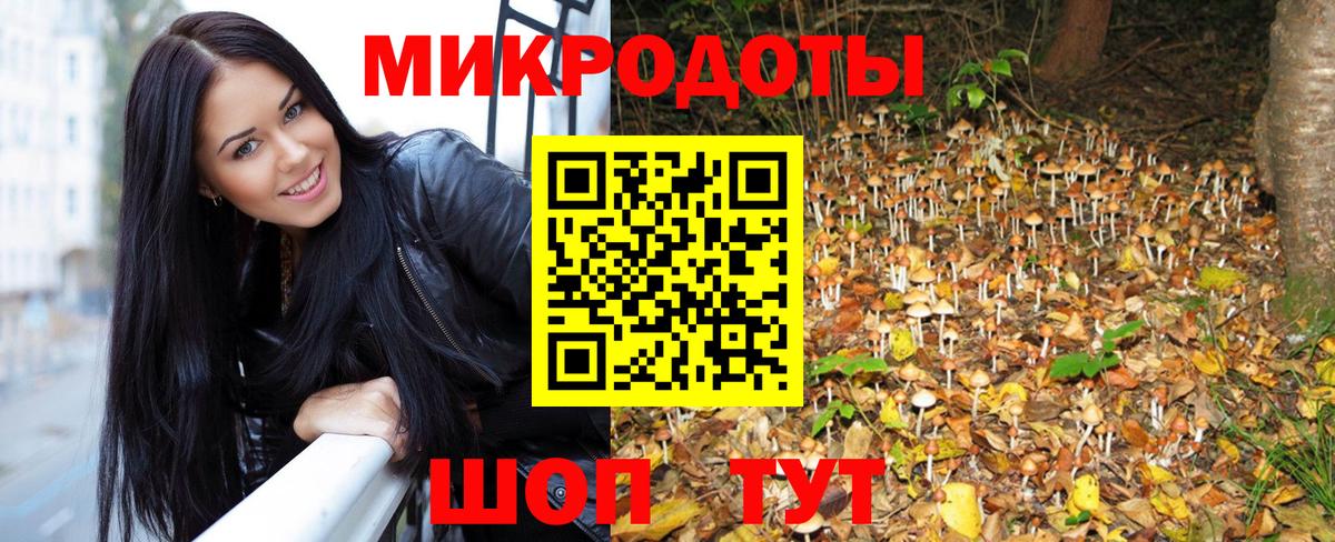 цена   Галлюциногенные грибы Cubensis  Вход с VPN  Владимир 
