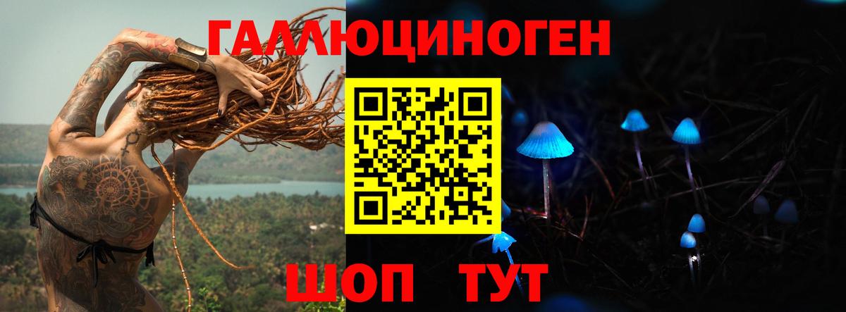 Псилоцибиновые грибы прущие грибы Владимир